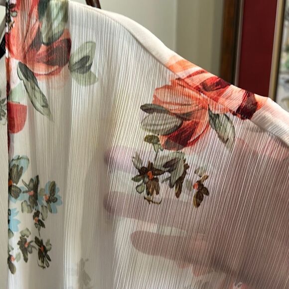 ZARA Sheer Dress or Coverup - Picture 8 of 10